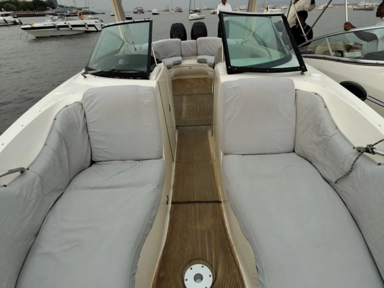 Sea Ray Sea Ray SLX 300 te huur van particulier of professional in Mumbai