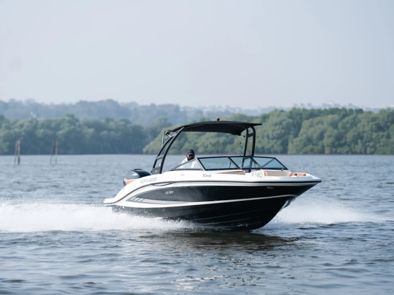 Sea Ray Sea Ray SPX 210 te huur van particulier of professional in Panaji