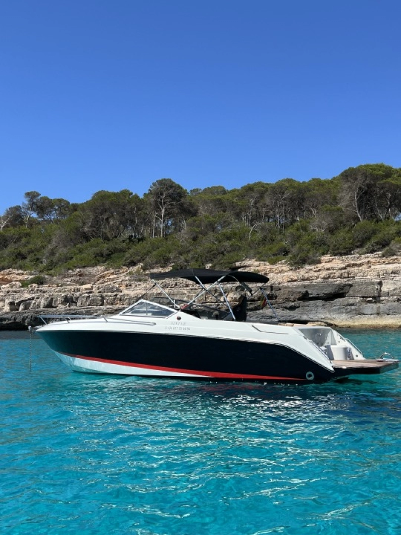 Verhuur Motorboot in Cala d'Or - Wellcraft OPEN