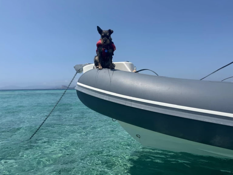 Bwa 24 Sporty RIB te huur van particulier of professional in Ibiza Town