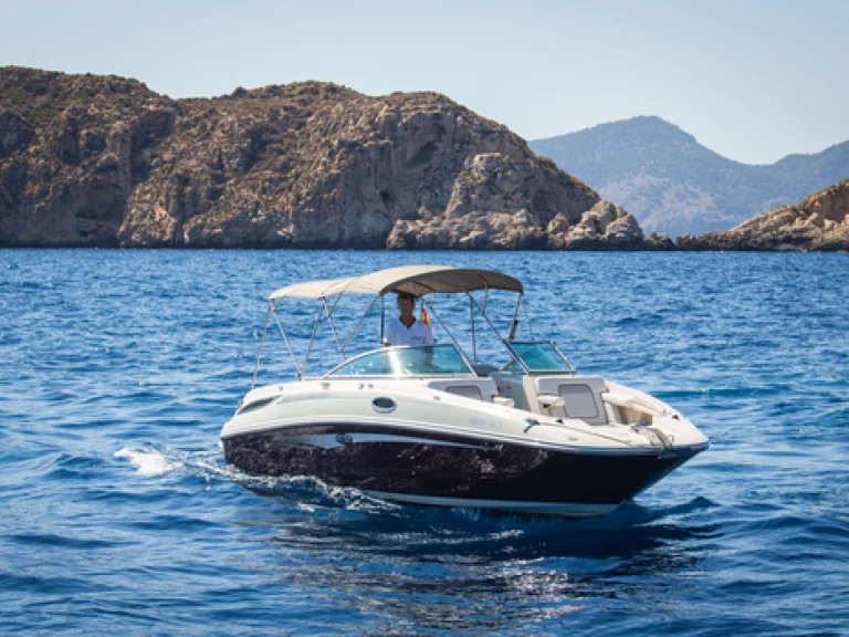 Huur Motorboot met of zonder schipper Sea Ray in El Toro