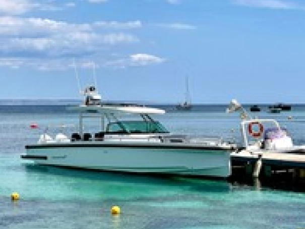 Huur Motorboot met of zonder schipper Axopar in El Toro