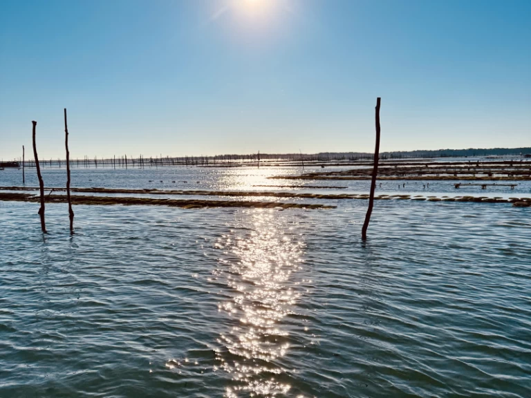 Jachthuur in Frankrijk - Beacher Beacher 840 via SamBoat