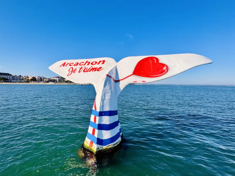 Huur een Beacher Beacher 840 in Frankrijk