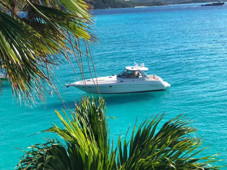 Sea Ray Sea Ray 525 Sundancer te huur van particulier of professional in Saint Thomas Harbor