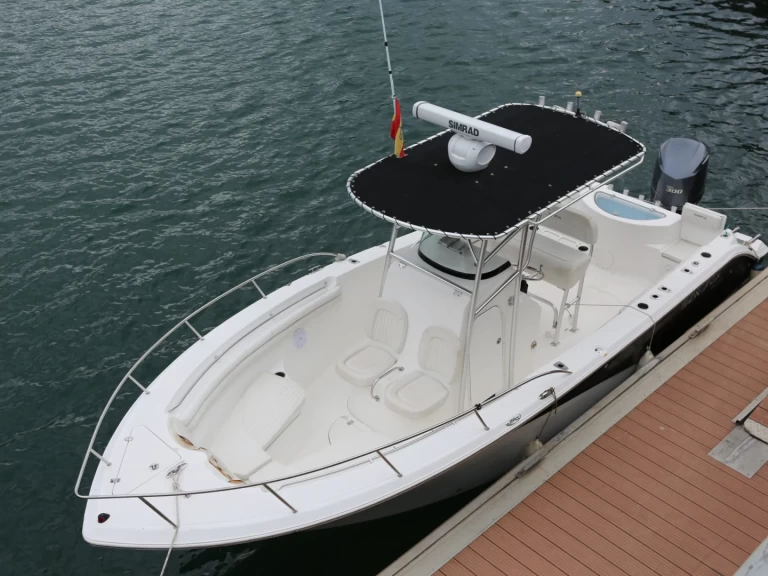 Verhuur Motorboot SEAFOX met vaarbewijs