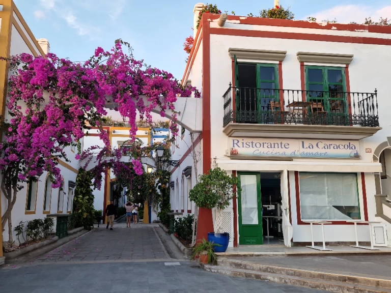 Huur een Jeanneau Sun Odyssey 44i in Puerto de Mogán
