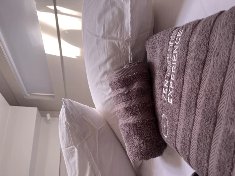 Verhuur Catamaran Lagoon met vaarbewijs