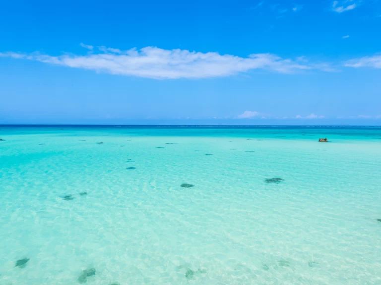 Huur Catamaran met of zonder schipper Custom Made in Kendwa