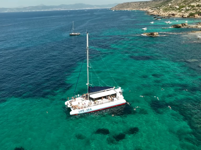 Huur een Drassanes Dalmau one of a kind in Playa de Palma