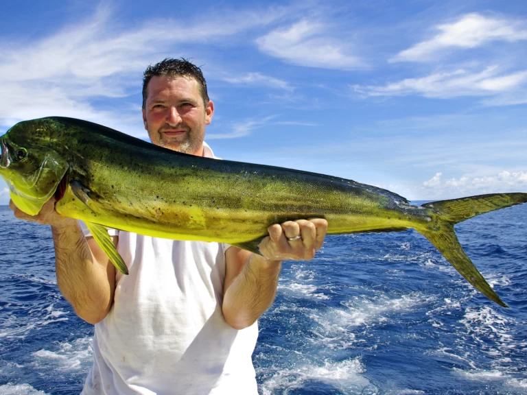 Huur Jacht met of zonder schipper Custom Made in Punta Cana