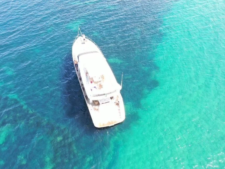 Maiora 20 s te huur van particulier of professional in San Vincenzo