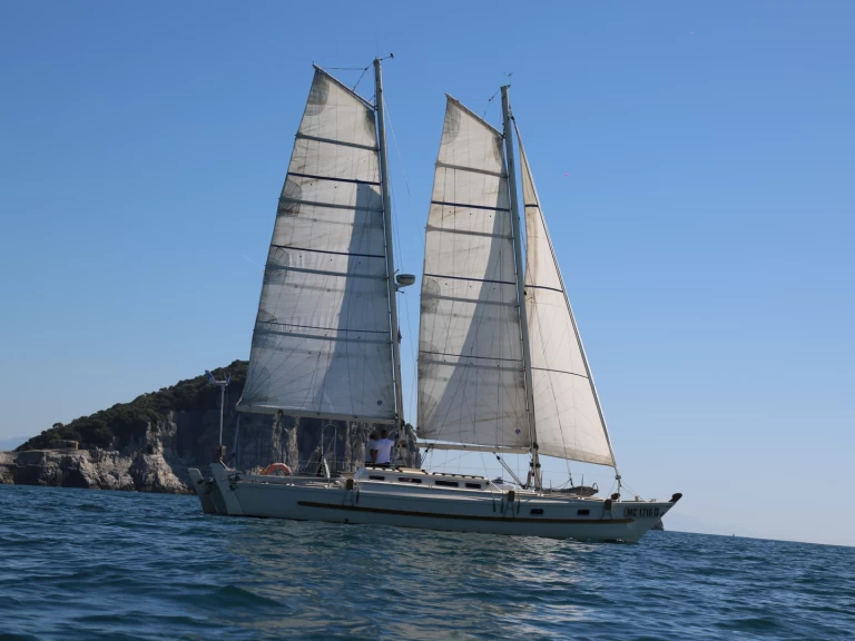 Huur Catamaran met of zonder schipper Wharram in La Spezia