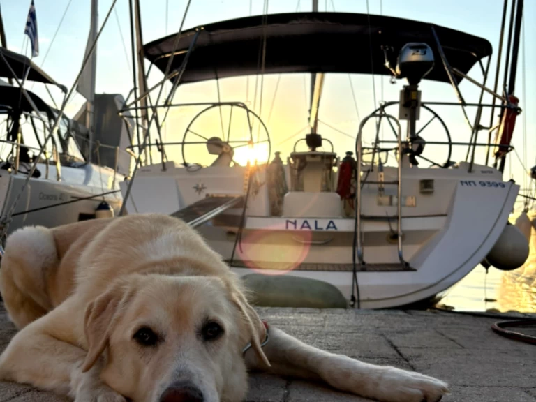 Verhuur Zeilboot Jeanneau met vaarbewijs