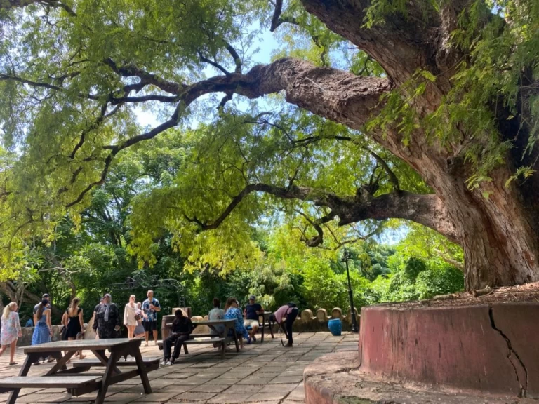 Bootverhuur Custom Custom in Zanzibar via SamBoat