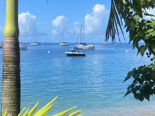 Verhuur Motorboot in Deshaies - Pacific Craft Pacific Craft 630