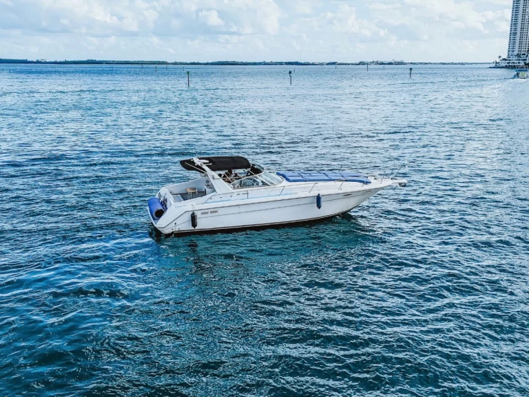 Verhuur Motorboot Sea Ray met vaarbewijs