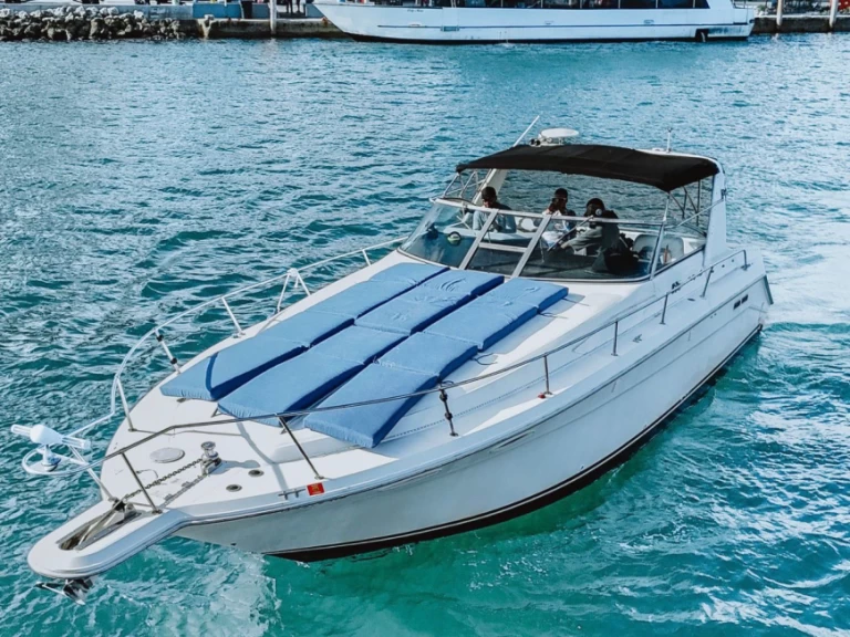 Jachthuur in Miami - Sea Ray Sea Ray 370 Sundancer via SamBoat