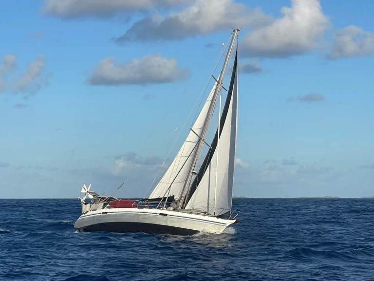 Huur een Alubat Ovni 43 in La Paz