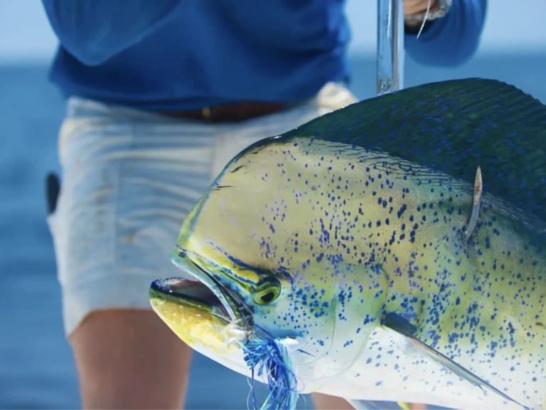 Huur een HCB 53 Suenos  in Providenciales