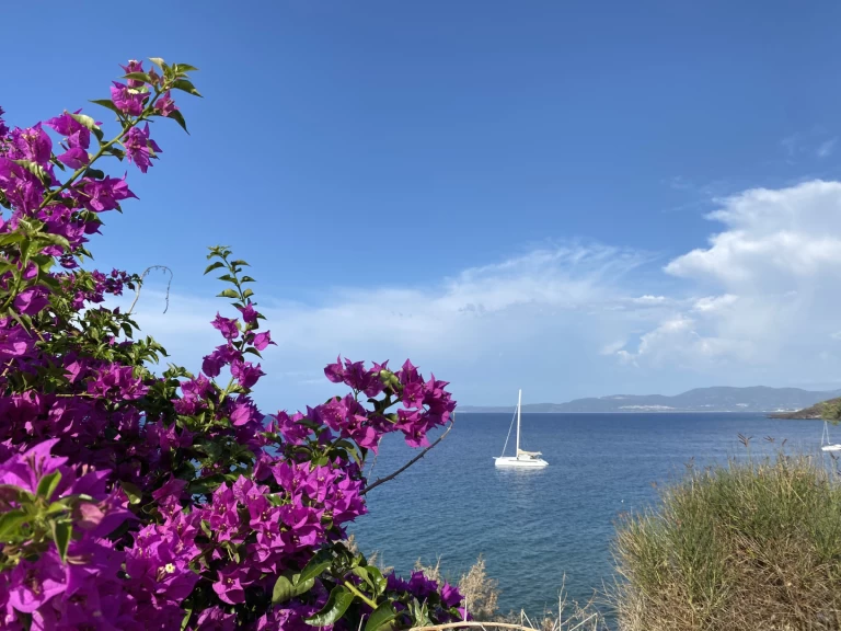 Jachthuur in Pianottoli-Caldarello - ALIBI ALIBI 54 via SamBoat