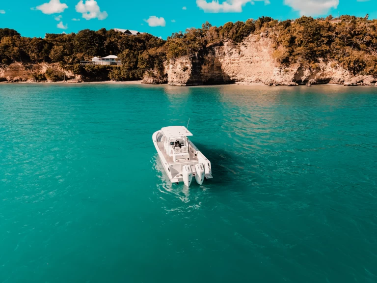 Verhuur Motorboot Forboat met vaarbewijs