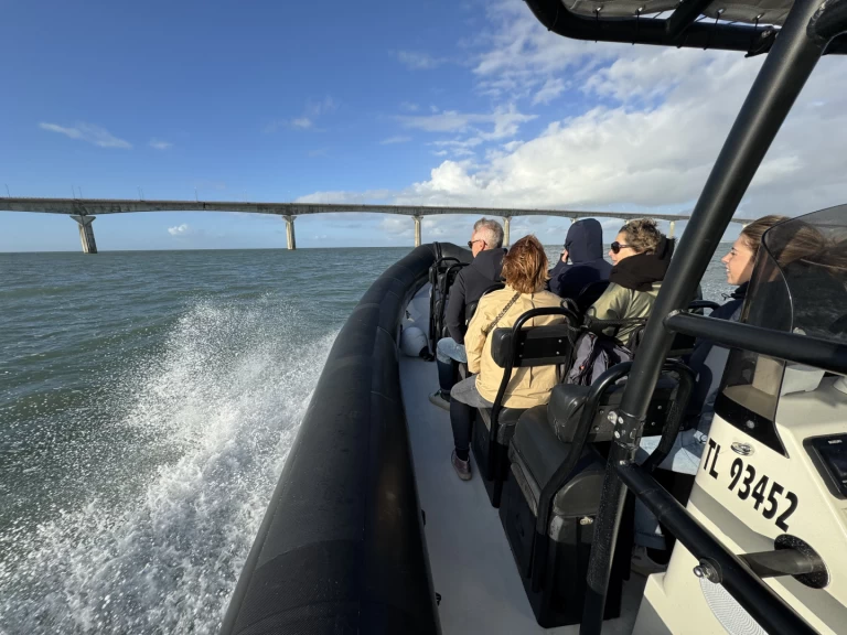 Verhuur RIB Narwhal met vaarbewijs