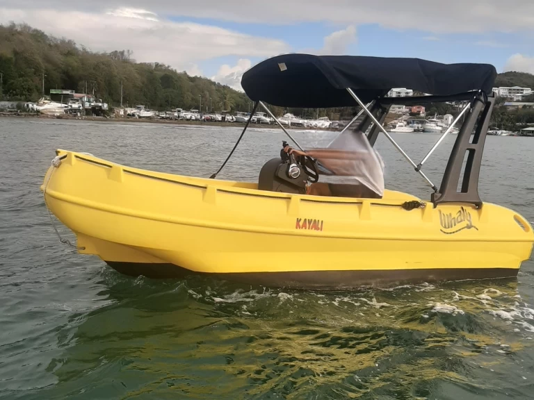 Verhuur Motorboot Whaly met vaarbewijs
