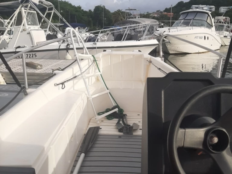 Huur Motorboot met of zonder schipper Whaly in Le François