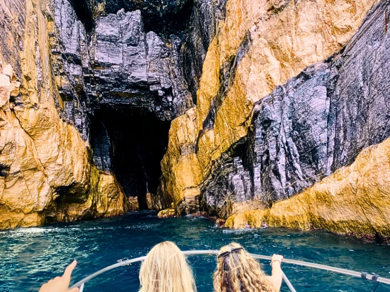 Jachthuur in La Spezia - Boston Whaler Boston Whaler 220 Dauntless via SamBoat