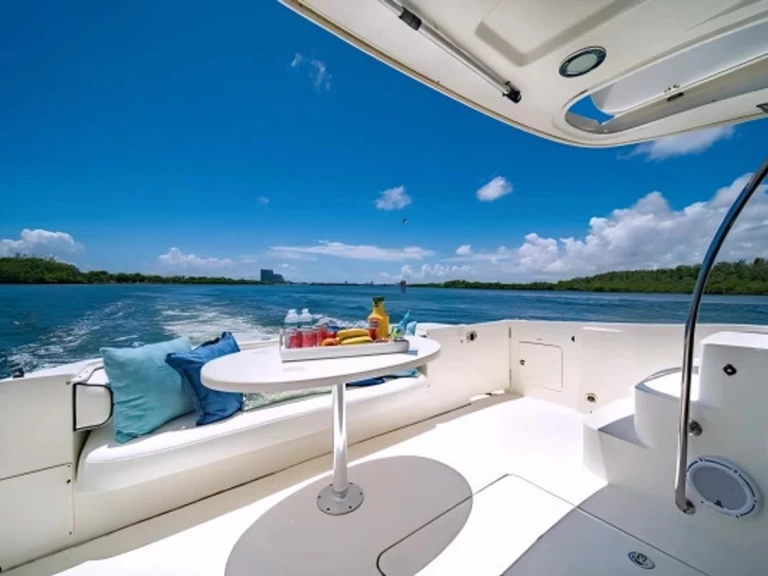 Sea Ray Sea Ray 525 Sedan Bridge te huur van particulier of professional in Miami Beach