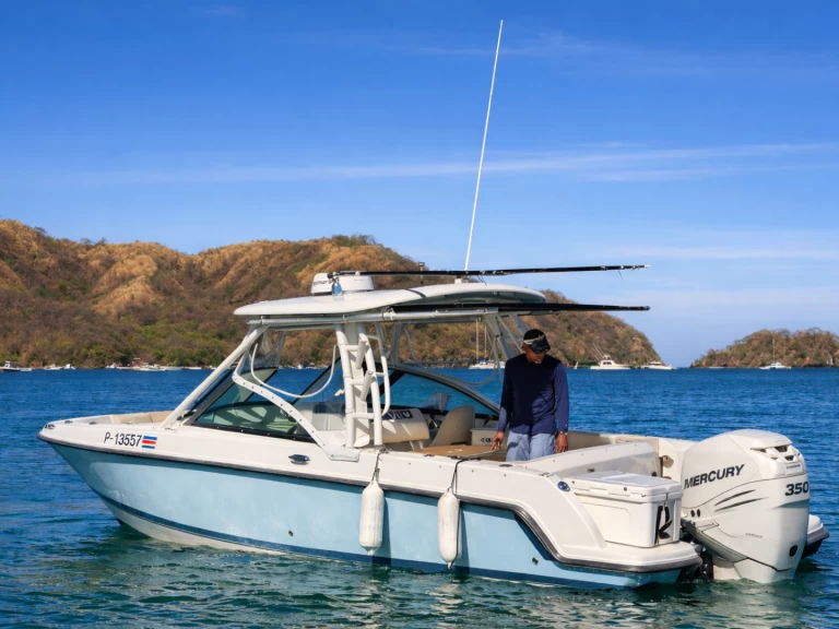 Bootverhuur Boston Whaler Boston 24 FT in Coco Bay via SamBoat