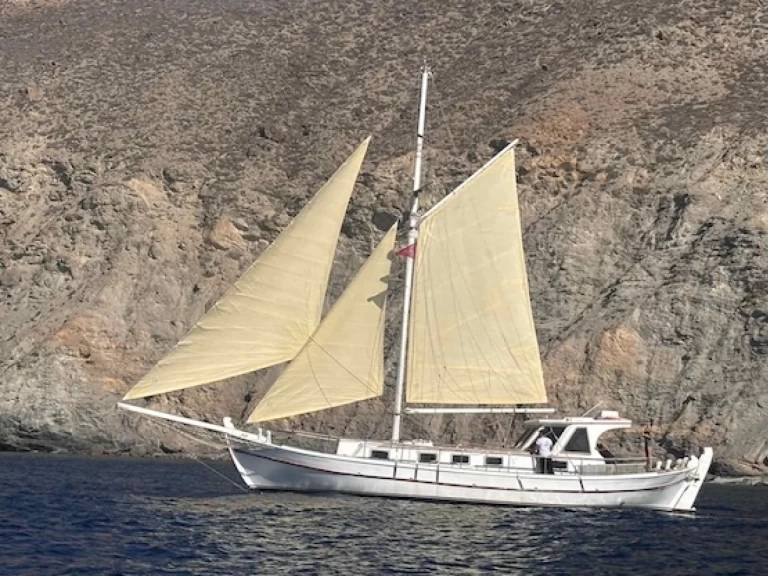 Verhuur Zeilboot Custom met vaarbewijs