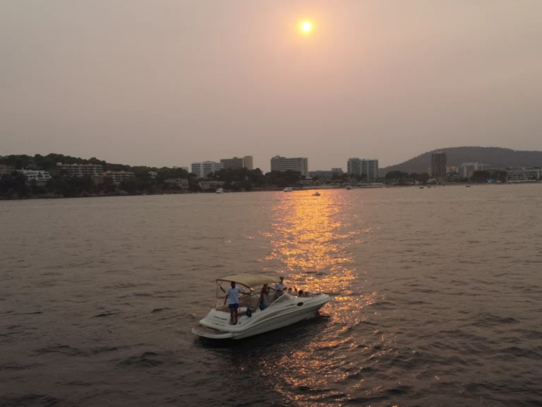 Jachthuur in Palma de Mallorca - Sea Ray Sea Ray 240 Sundeck via SamBoat