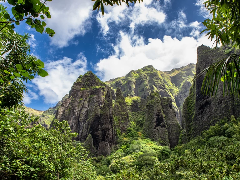 Bootverhuur Alubat Ovni 43 in La Paz via SamBoat