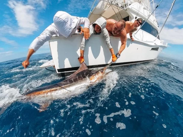 Bootverhuur Viking Viking 50 in Marina Papagayo via SamBoat