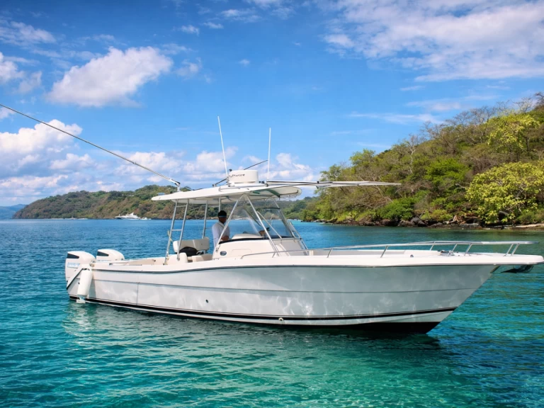 Pursuit Pursuit 32 te huur van particulier of professional in Coco Bay