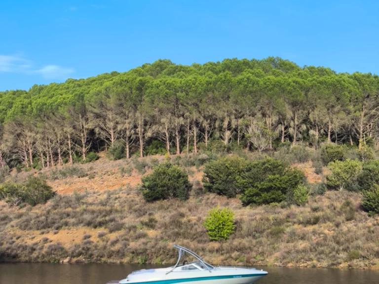 Bootverhuur Ferragudo goedkoop SSV 215