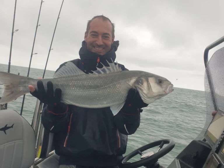 Jachthuur in Dunkerque - Sillinger Silverline 650 via SamBoat