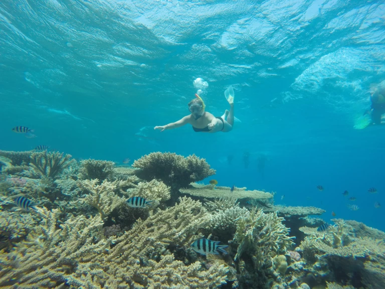 Huur een  Custom Built  444 in Sharm el-Sheikh