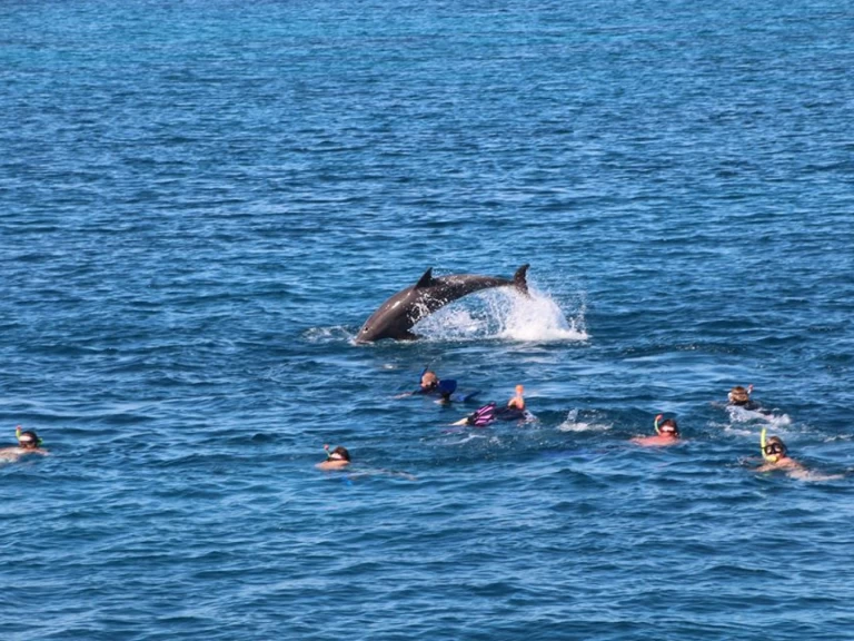 Verhuur Jacht  met vaarbewijs