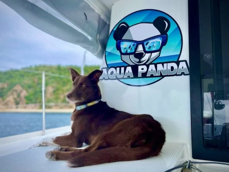 Verhuur Catamaran in Kingstown - Fountaine Pajot Lucia 40