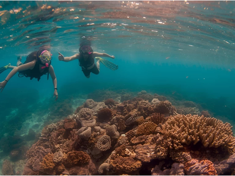 Verhuur Motorboot in Punta Cana - Custom Custom