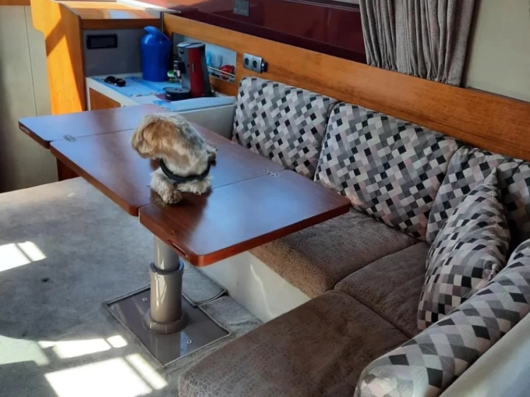 Verhuur Motorboot in Pula - Riva rivarama 44