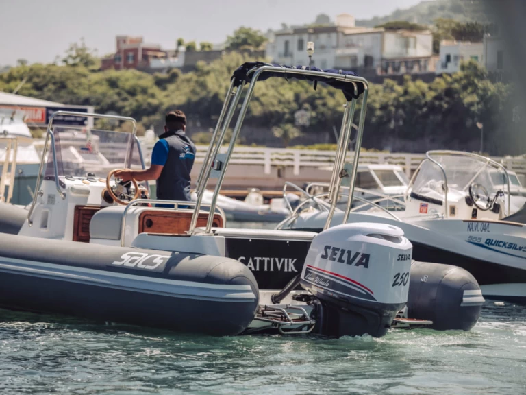 Huur RIB met of zonder schipper Sacs in Forio