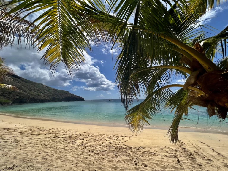 Verhuur Zeilboot Pogo Structures met vaarbewijs