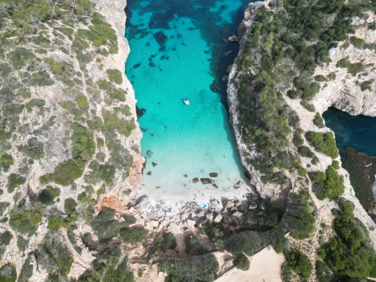 Protender Xs 470 te huur van particulier of professional in Cala Figuera