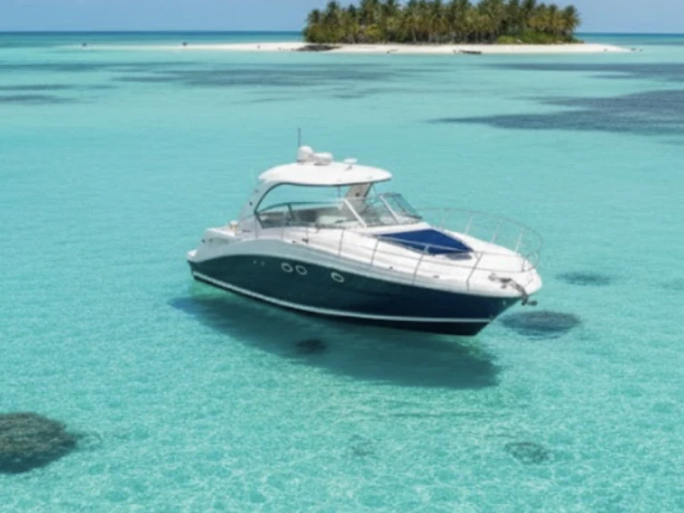Sea Ray SUNDANCER 420 te huur van particulier of professional in Key West