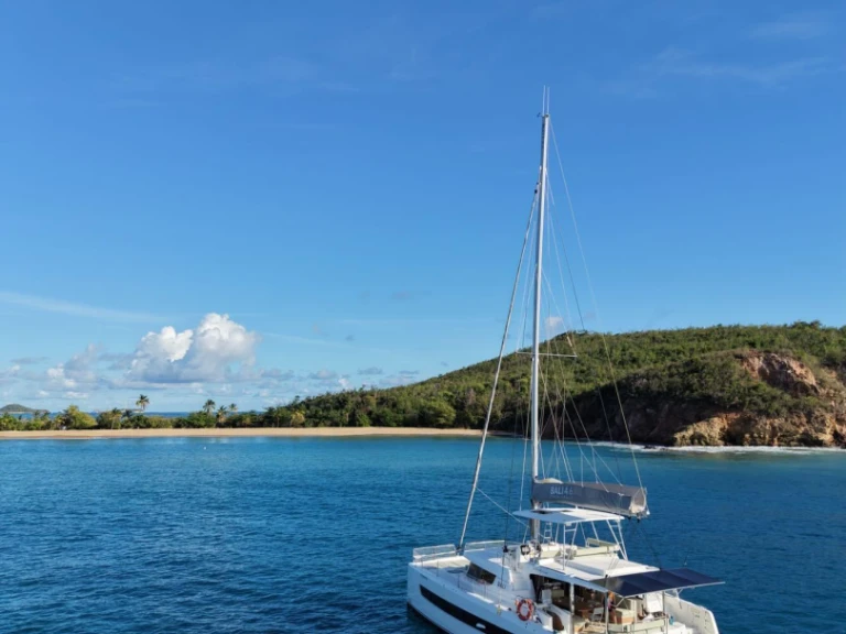 Verhuur Catamaran in Le Marin - Bali Bali 4.6