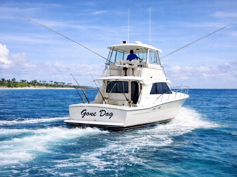 Motorboot te huur in Bávaro voor de beste prijs